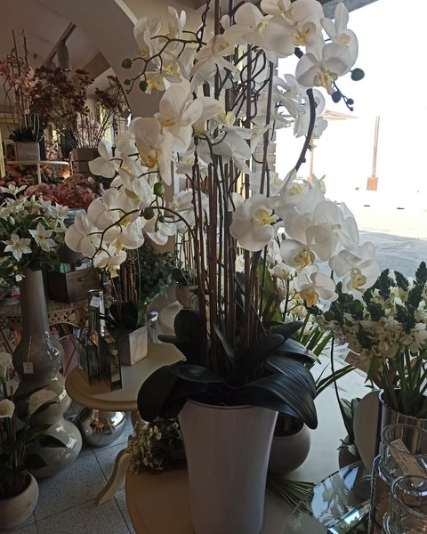 Composizione con orchidee bianche in vaso alto - Harmony Collegno