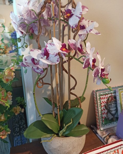 Composizione a parete con orchidee bianche - Harmony Collegno