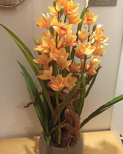 Composizione in vaso con orchidee arancioni - Harmony Collegno