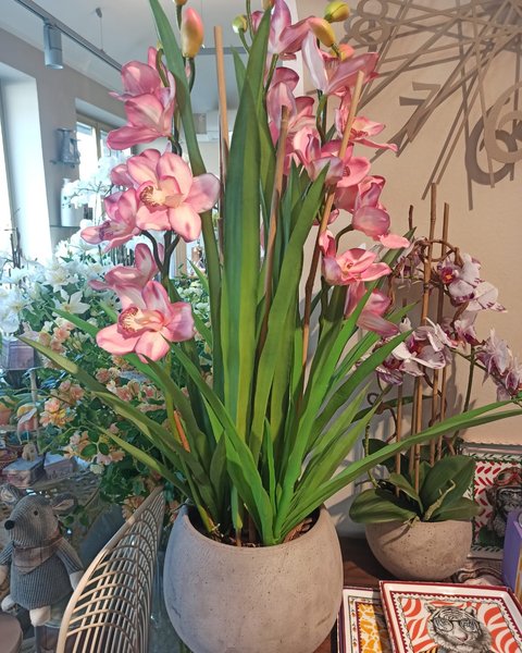 Composizione in vaso con orchidee rosa - Harmony Collegno