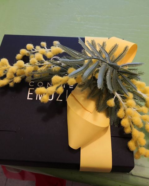 Mimosa artificiale su confezione regalo elegante - Harmony Collegno