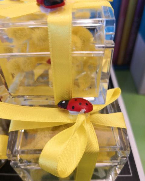 Confezione regalo con nastro giallo e coccinella - Harmony Collegno